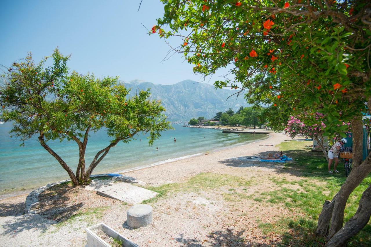 Villa Milami コトル エクステリア 写真